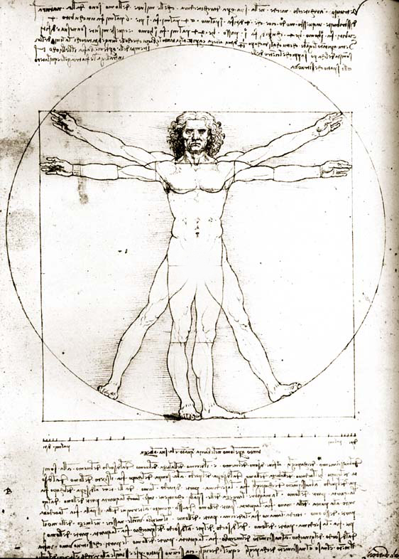 Leonardo Da Vinci Proportions of the Human Figure After Vitruvius, 1492