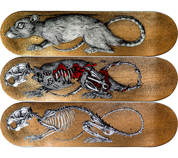 sk8room-roa-skateboard-deck